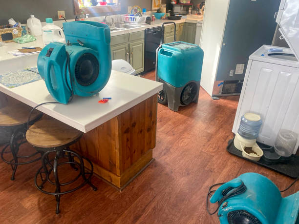 Best Dehumidification and Moisture Control in High Ridge, MO